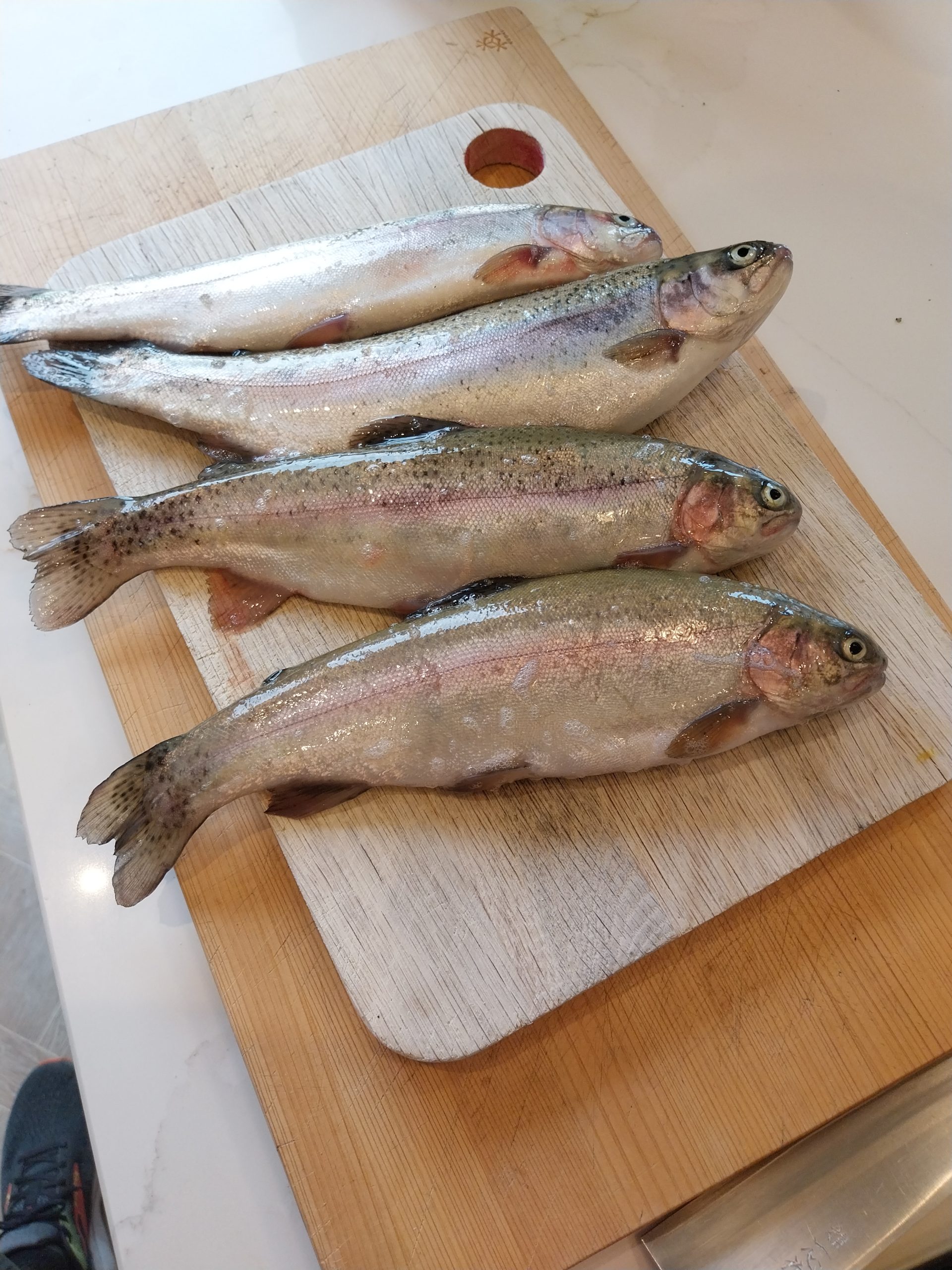 Four whole trout caught at Tillingbourne Farm on Friday 29 May 2026 — sweetcorn on a barbless hook, child-friendly stocked trout fishery in Surrey, the catch that fed the table on Sunday