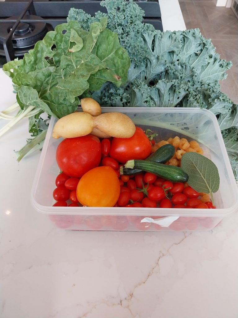 A plastic tub on the worktop heaped with garden tomatoes, large and small, with a courgette and two potatoes among them and kale behind